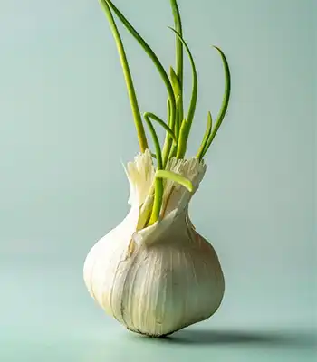 Garlic: Cancer-Fighting Foods