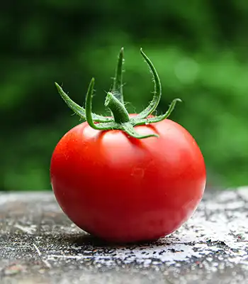 Tomatoes: Possible Cancer-Fighting Foods