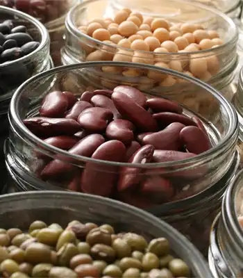 Cancer Protein Beans