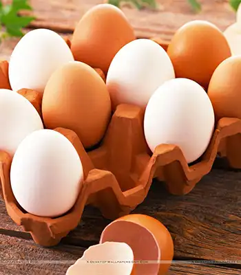 Eggs: Best Protein For Breast Cancer Patients